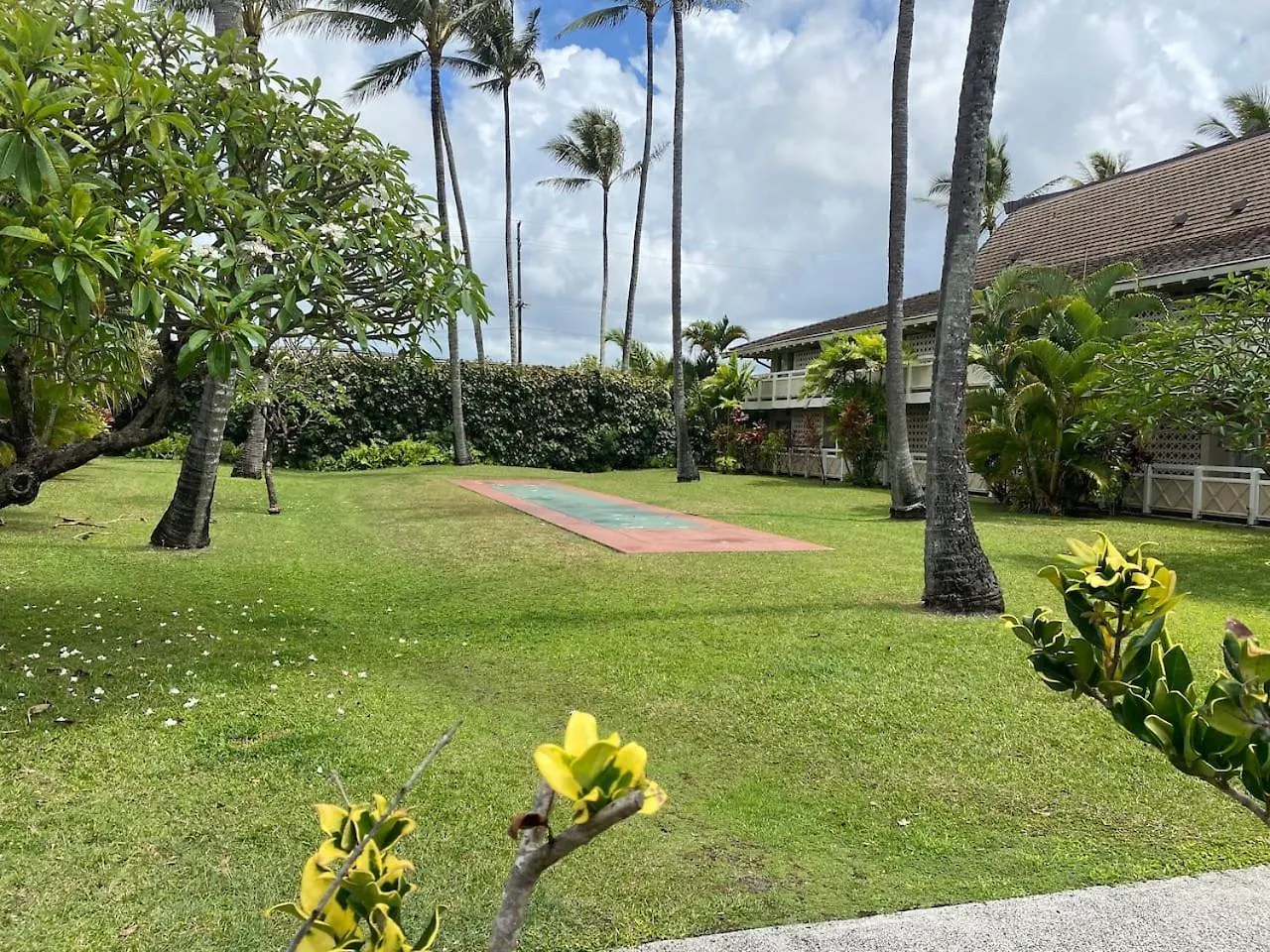 Appartamento Coconut Coast Oceanview Kapa'a