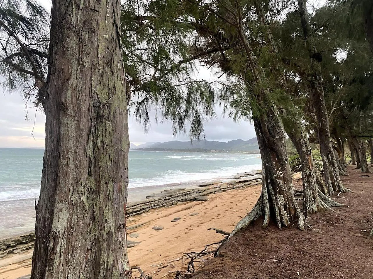 Appartamento Coconut Coast Oceanview Kapa'a Stati Uniti