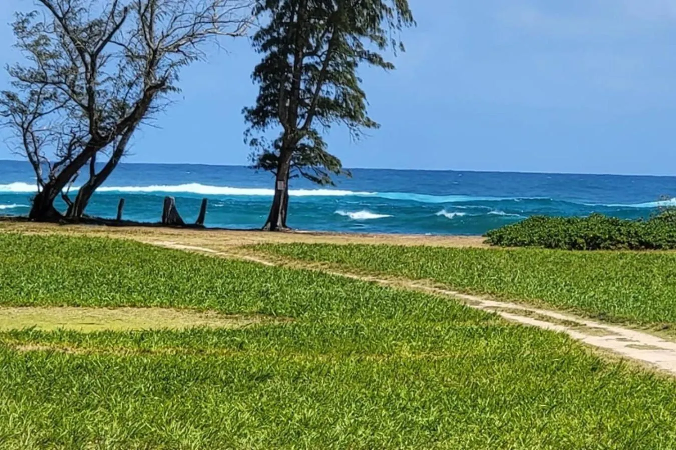 Appartamento Coconut Coast Oceanview Kapa'a 0*,  Stati Uniti