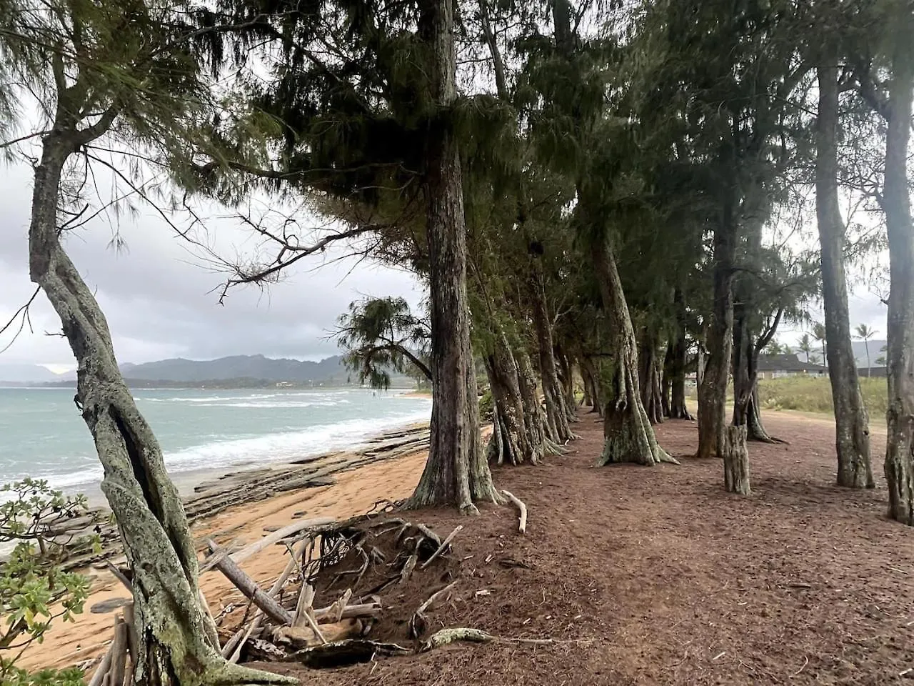 Appartamento Coconut Coast Oceanview Kapa'a Stati Uniti