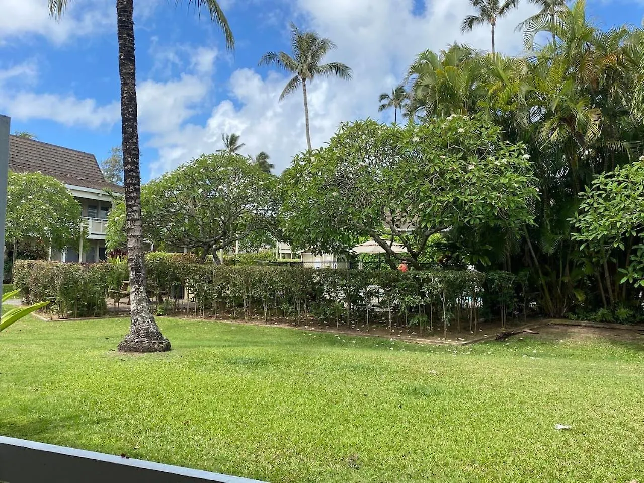 Appartamento Coconut Coast Oceanview Kapa'a